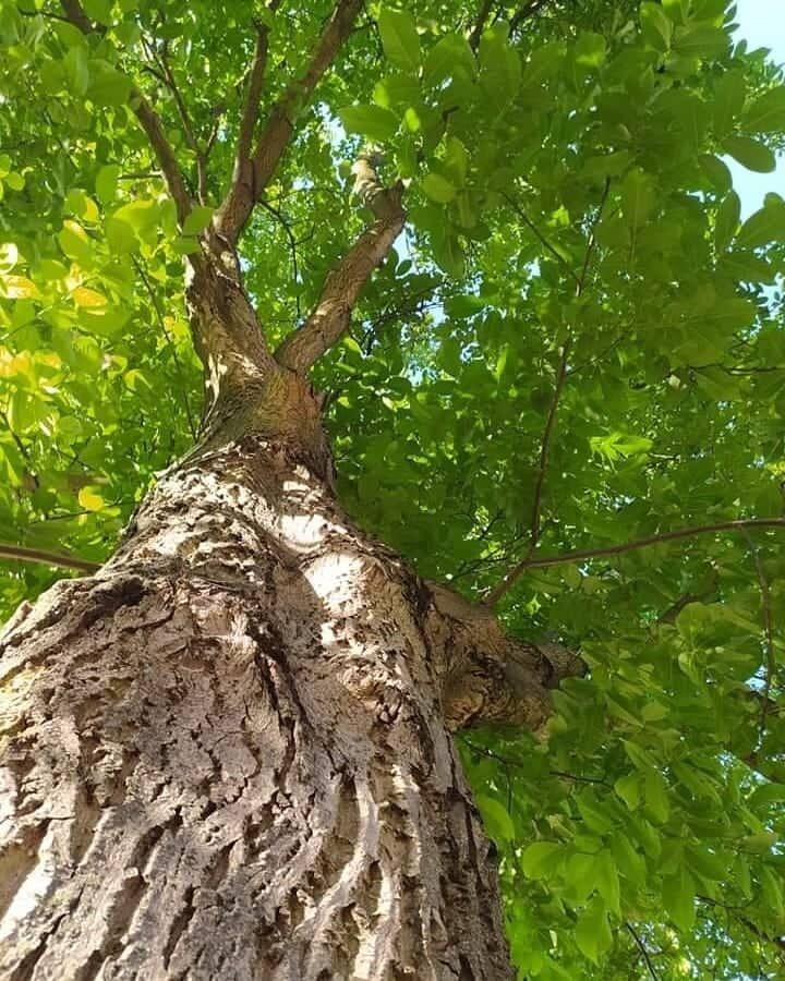 297786530_784226406055136_3297472993067980163_n (2)