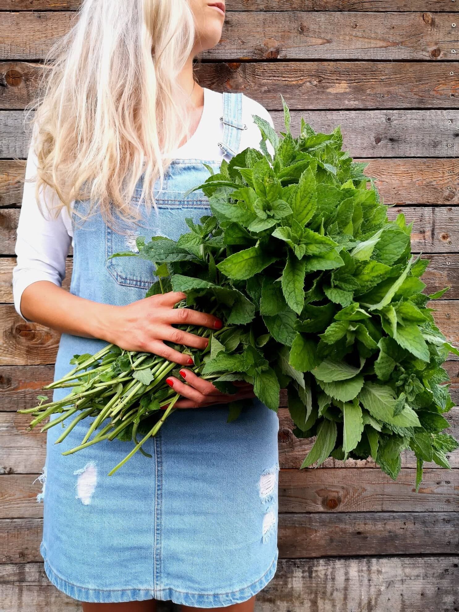 298521433_582607713331232_3875800720842120446_n (1)