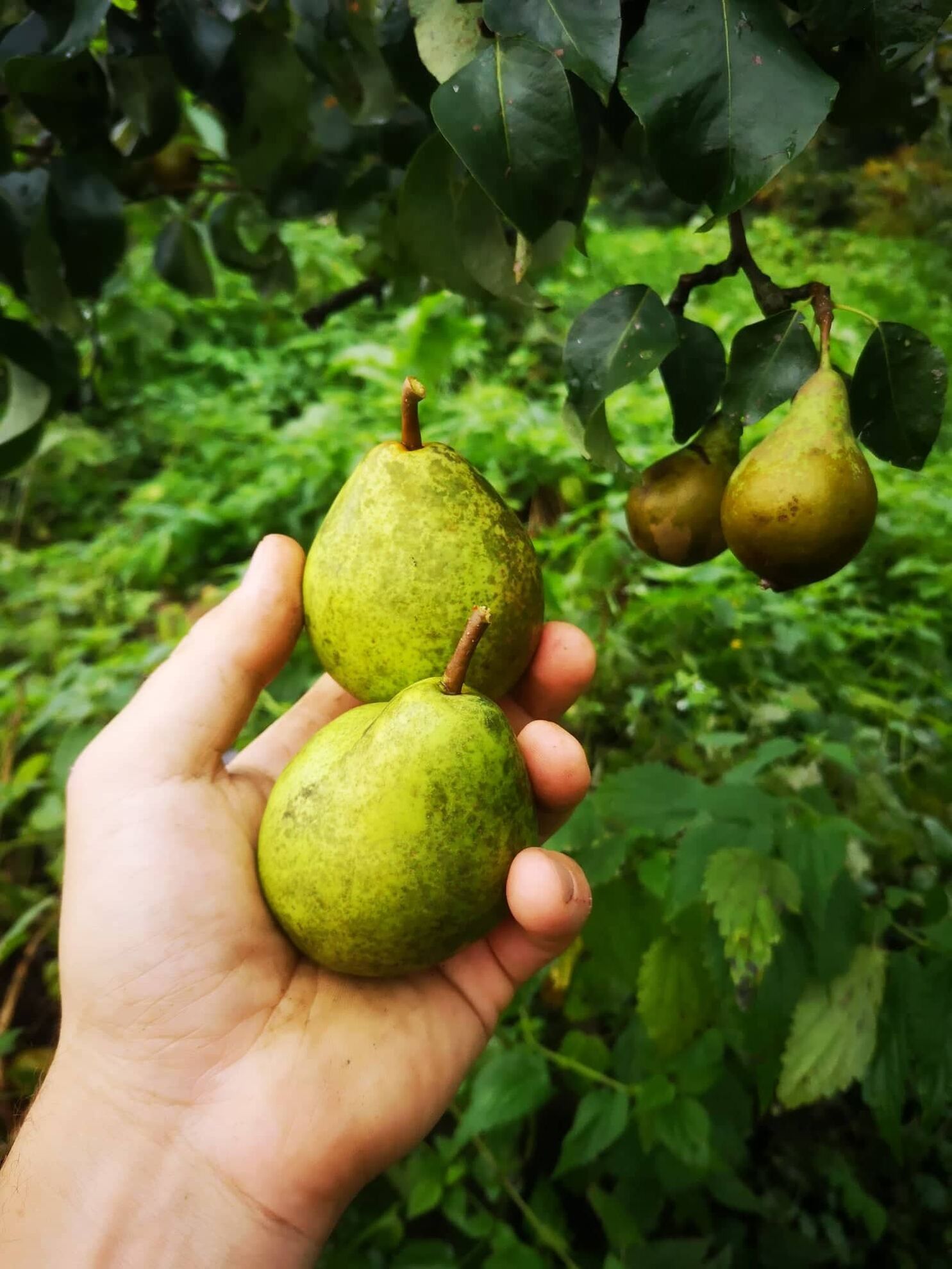 298684510_1446932859156033_5915092711539278188_n