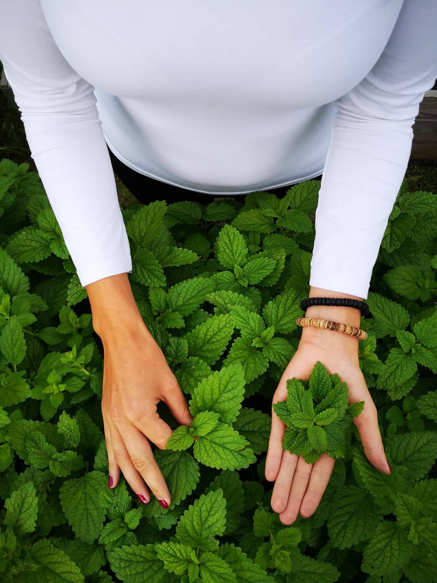 298706848_1293177697884271_6235395395583049730_n (1)