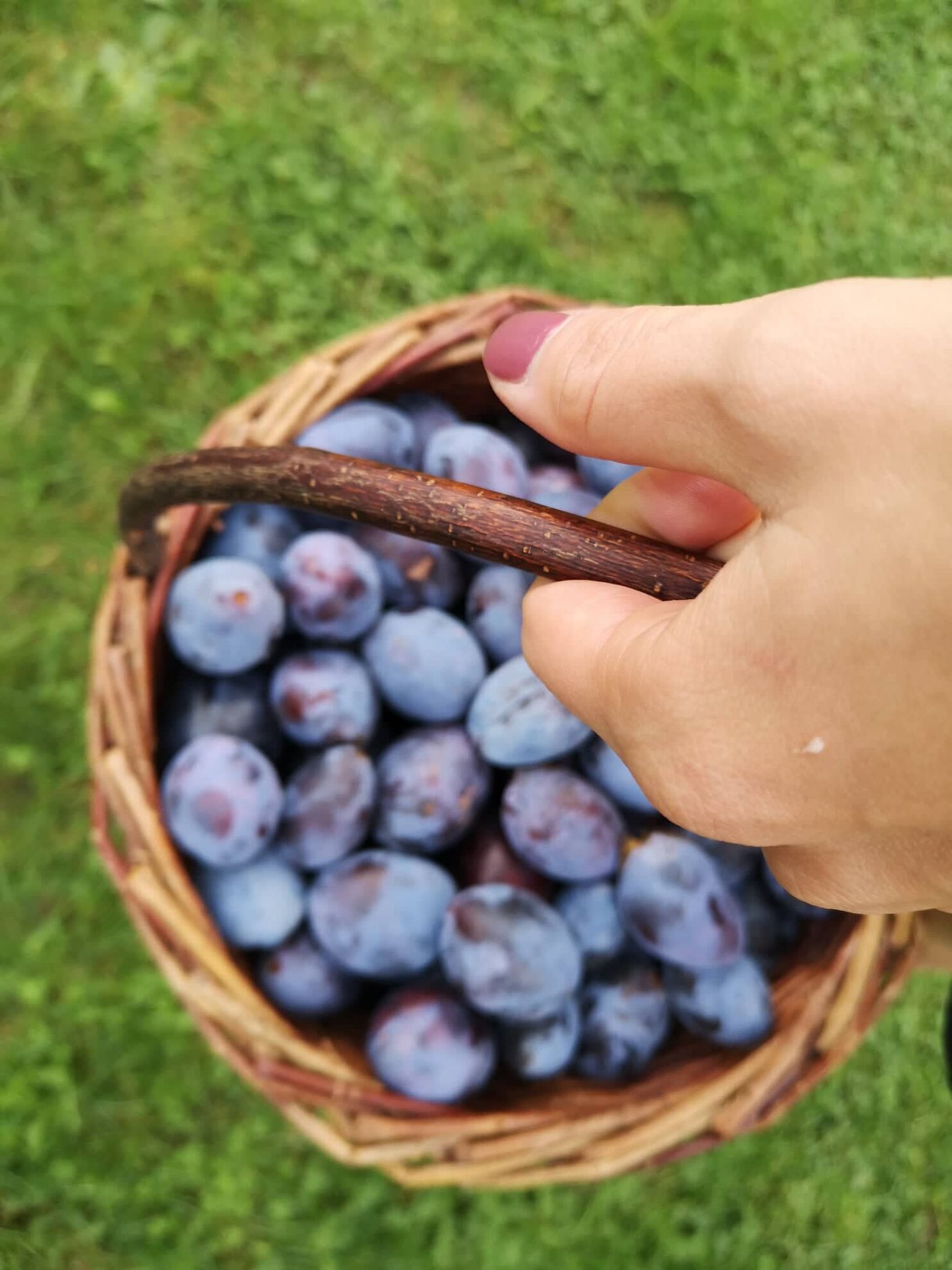 298717734_5052517501543569_8294814215424101488_n (2)