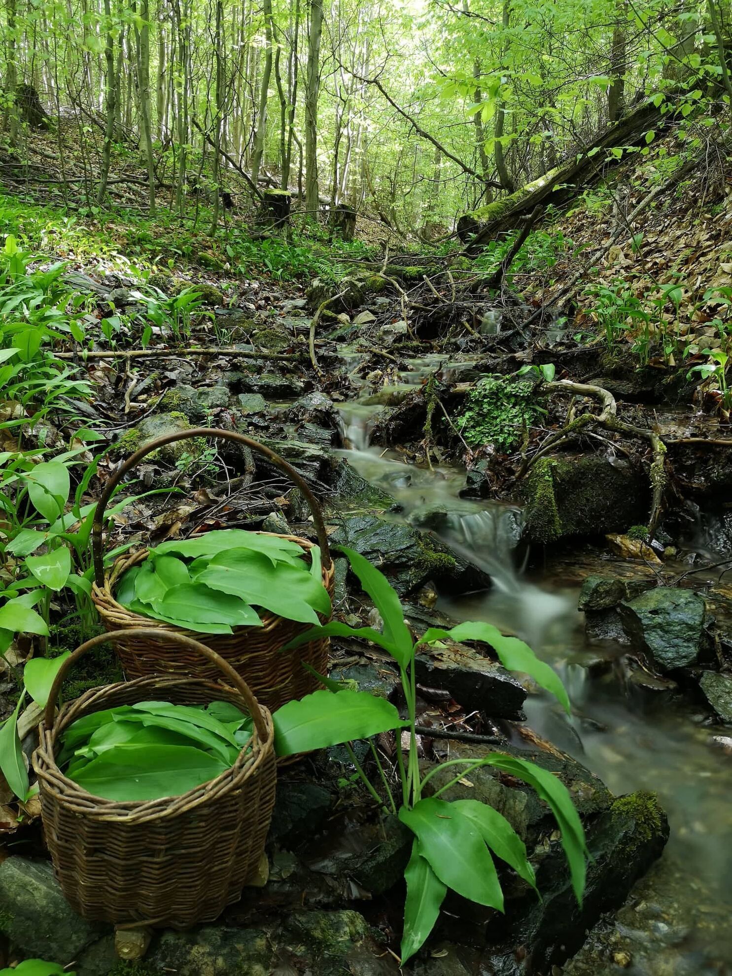 298736555_1460293627775075_1420714069673088182_n (2)