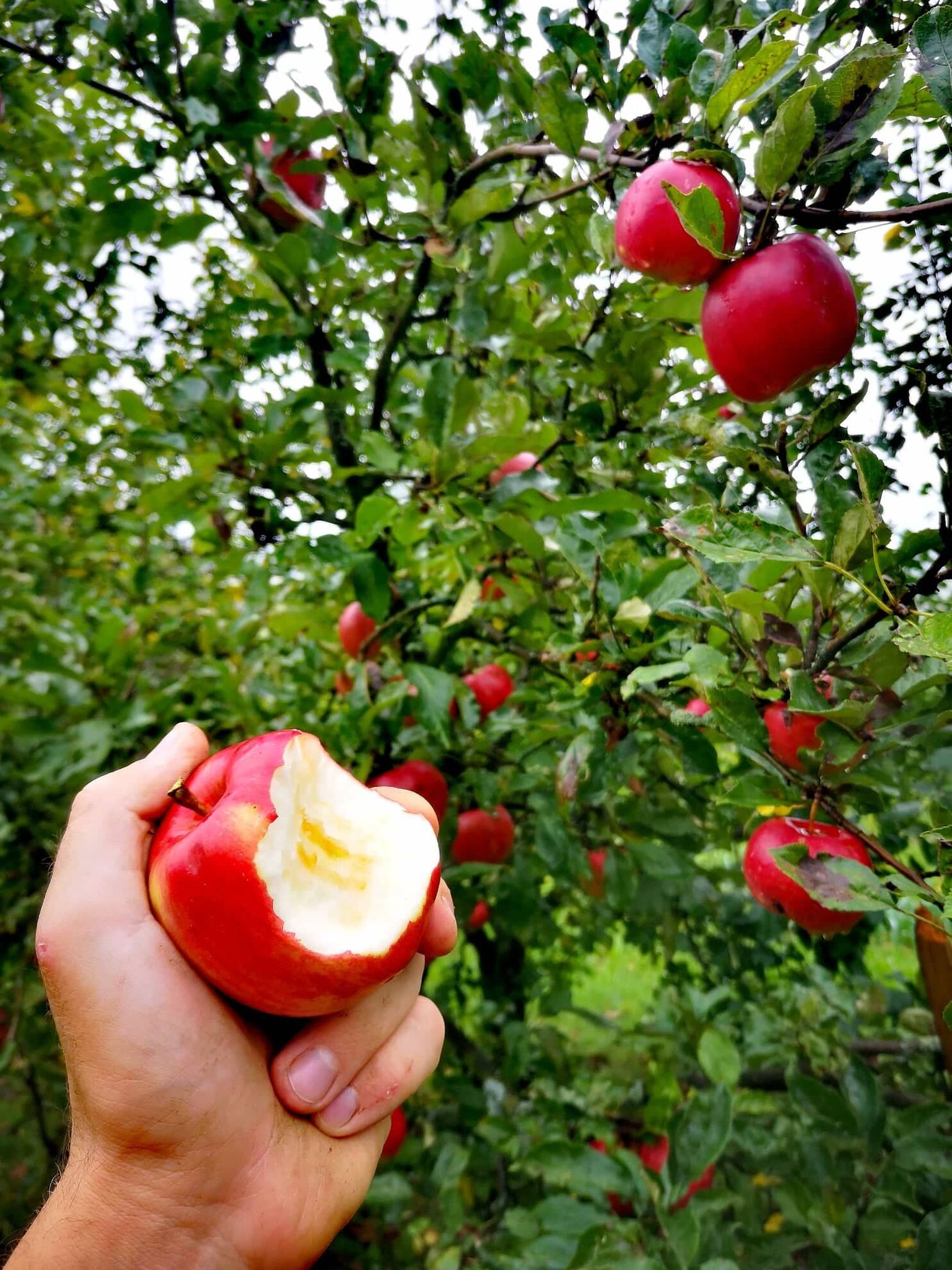 298740933_2309664709182007_8607553232685370540_n