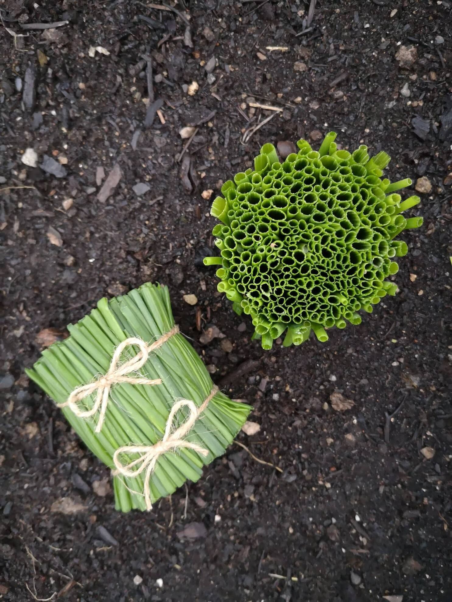 298747443_433878562014827_6394722996365531970_n