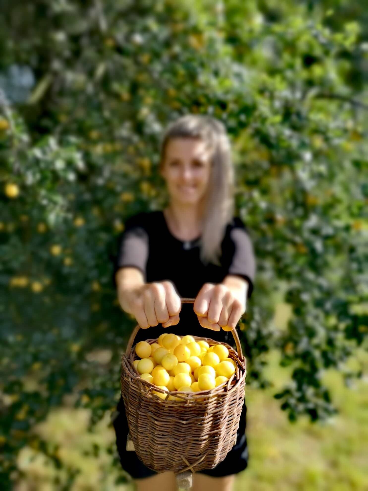 298788399_471461591159007_6886839154142196234_n