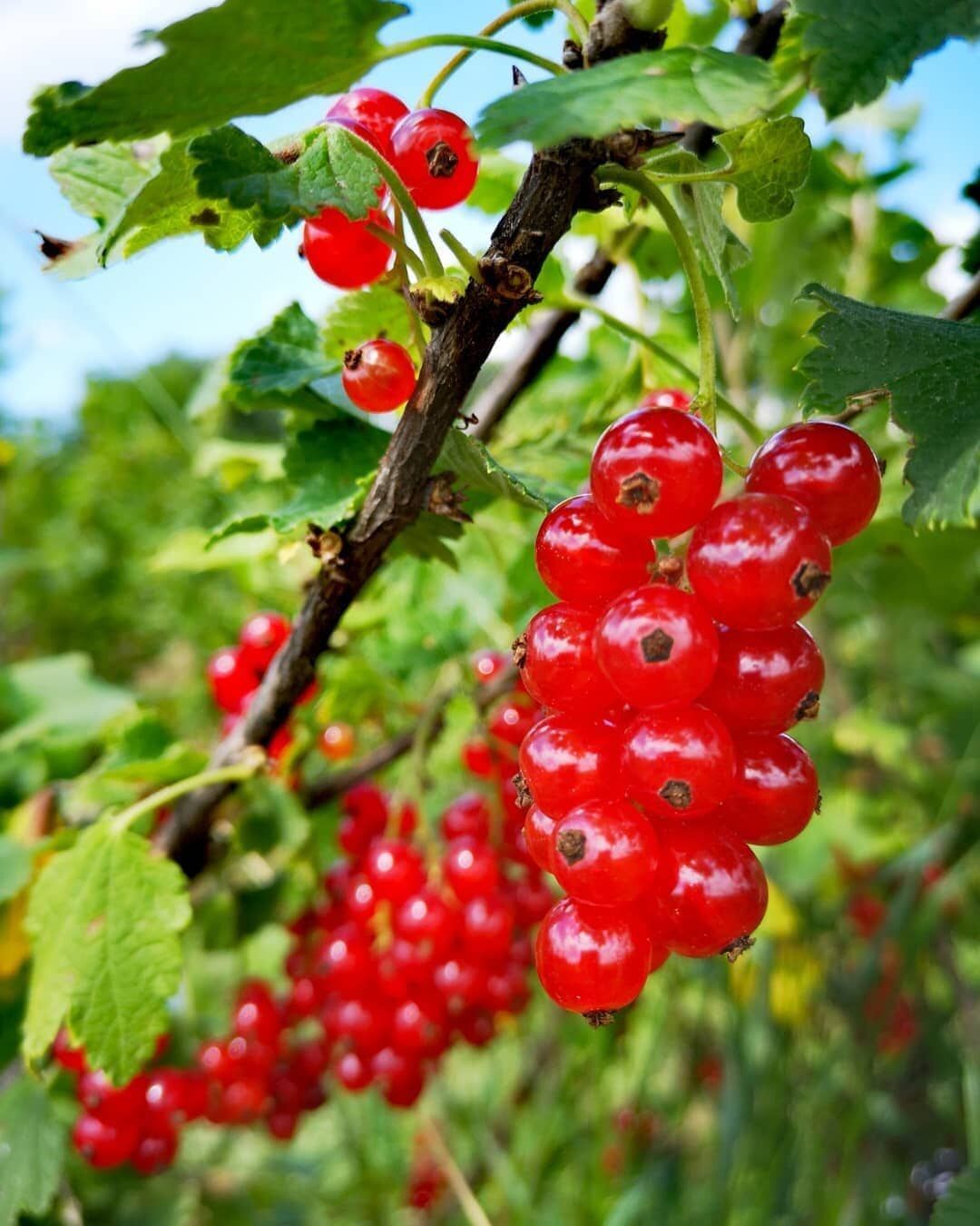 298792003_435550255187425_1557969286337543594_n (2)