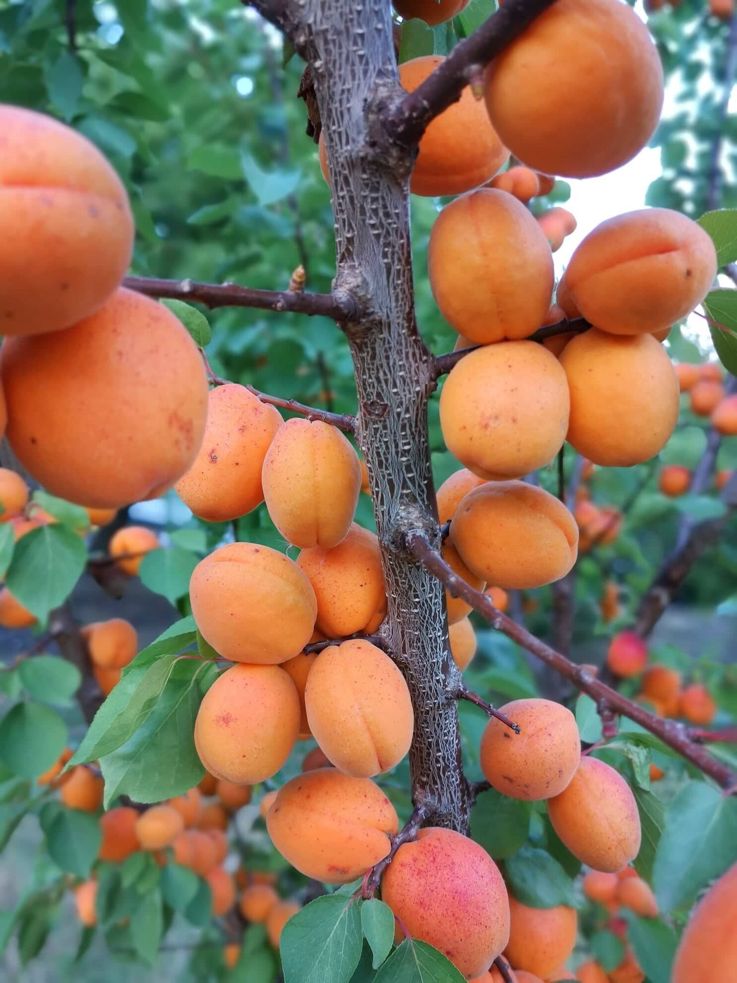 298792006_569526144899779_5175905929589321294_n