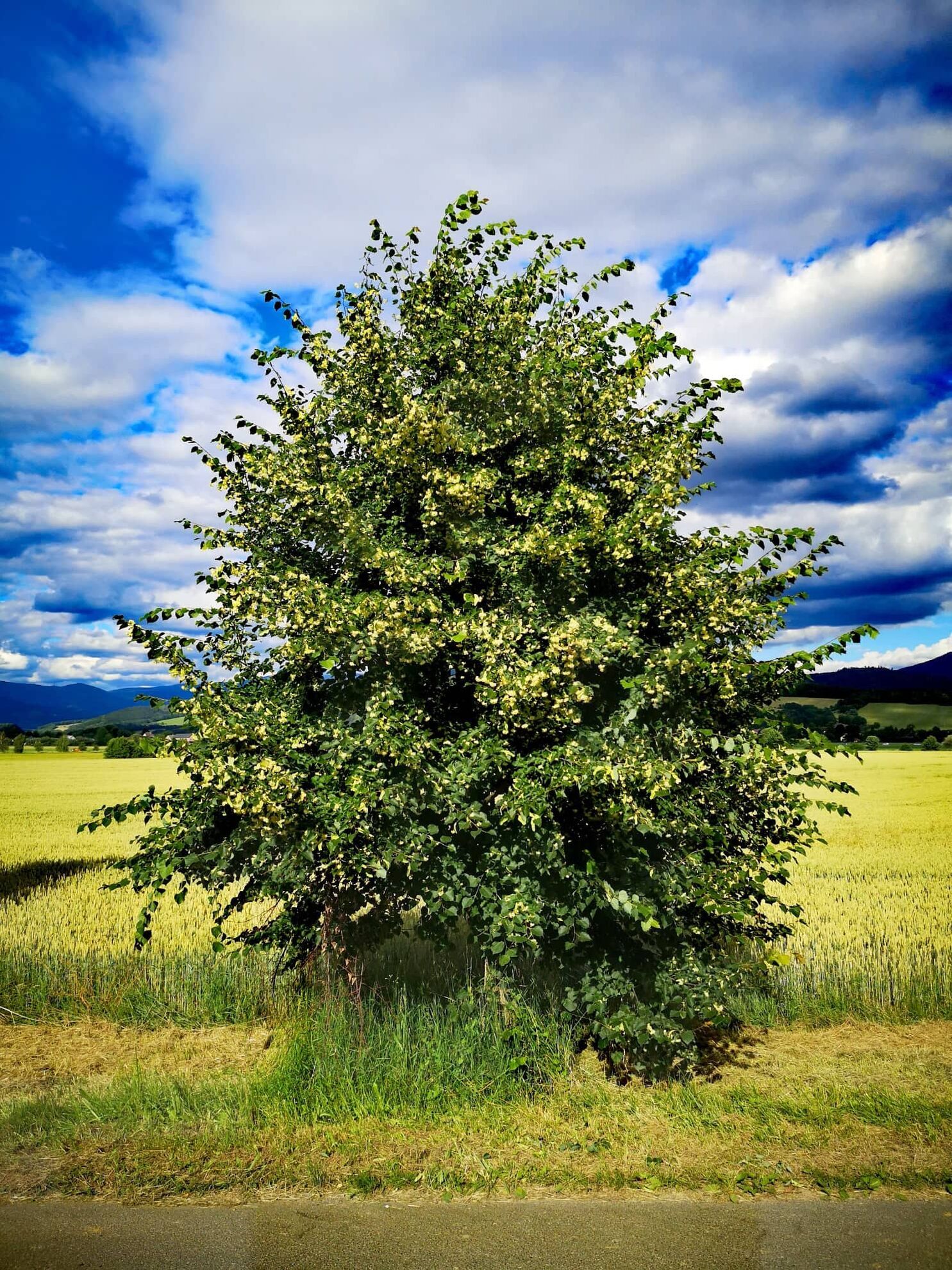 298807907_821849262525435_7343686772234047684_n 298807907_821849262525435_7343686772234047684_n