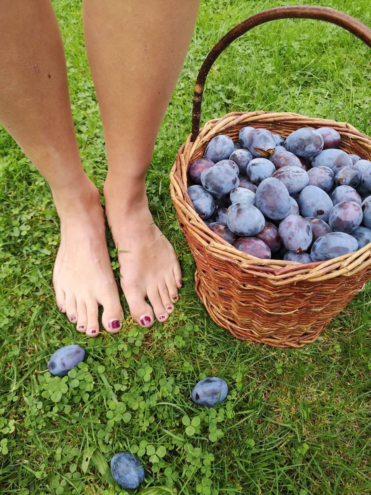 298807915_630102535084288_8196796558168273746_n