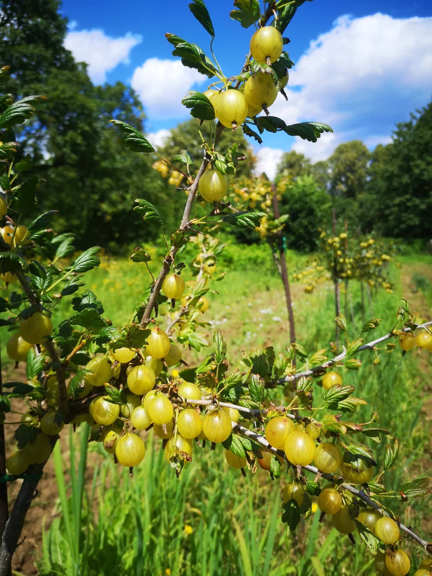 298839978_607488914335165_8090901792103491080_n