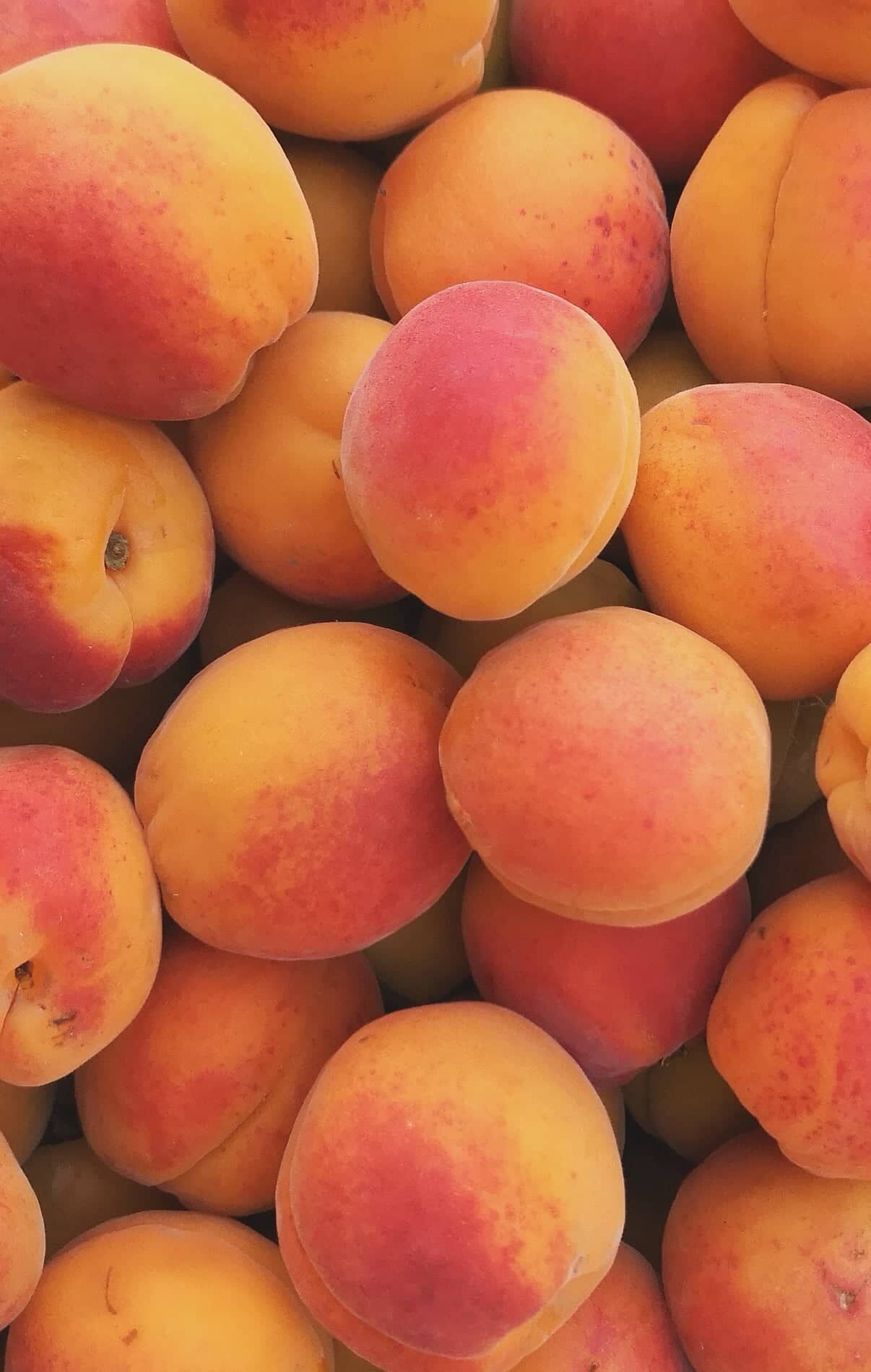 298843090_786571705863644_7941503796056225028_n (1)