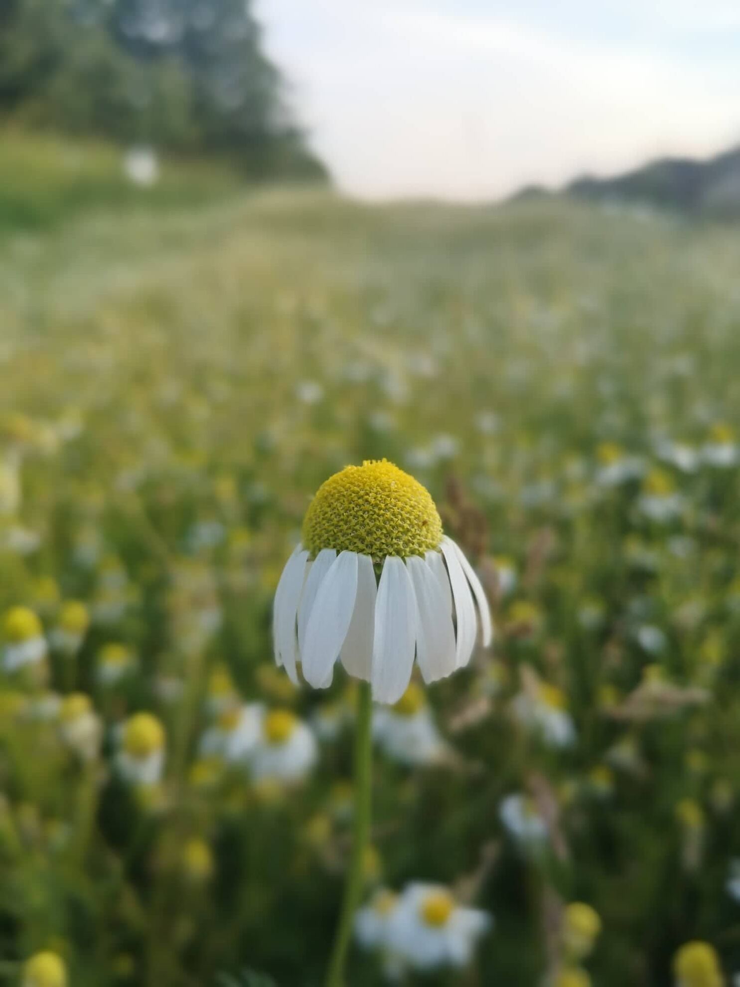 298860261_1205061977022095_7992616946041841483_n 298860261_1205061977022095_7992616946041841483_n