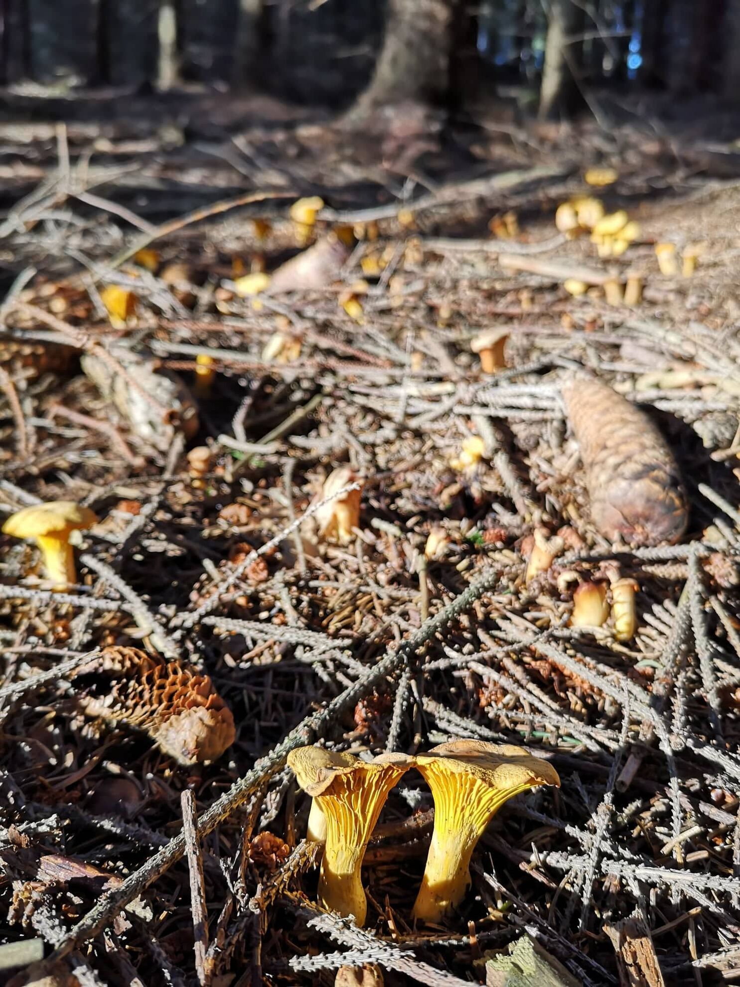 298863893_3338058636423670_4208313092542243515_n