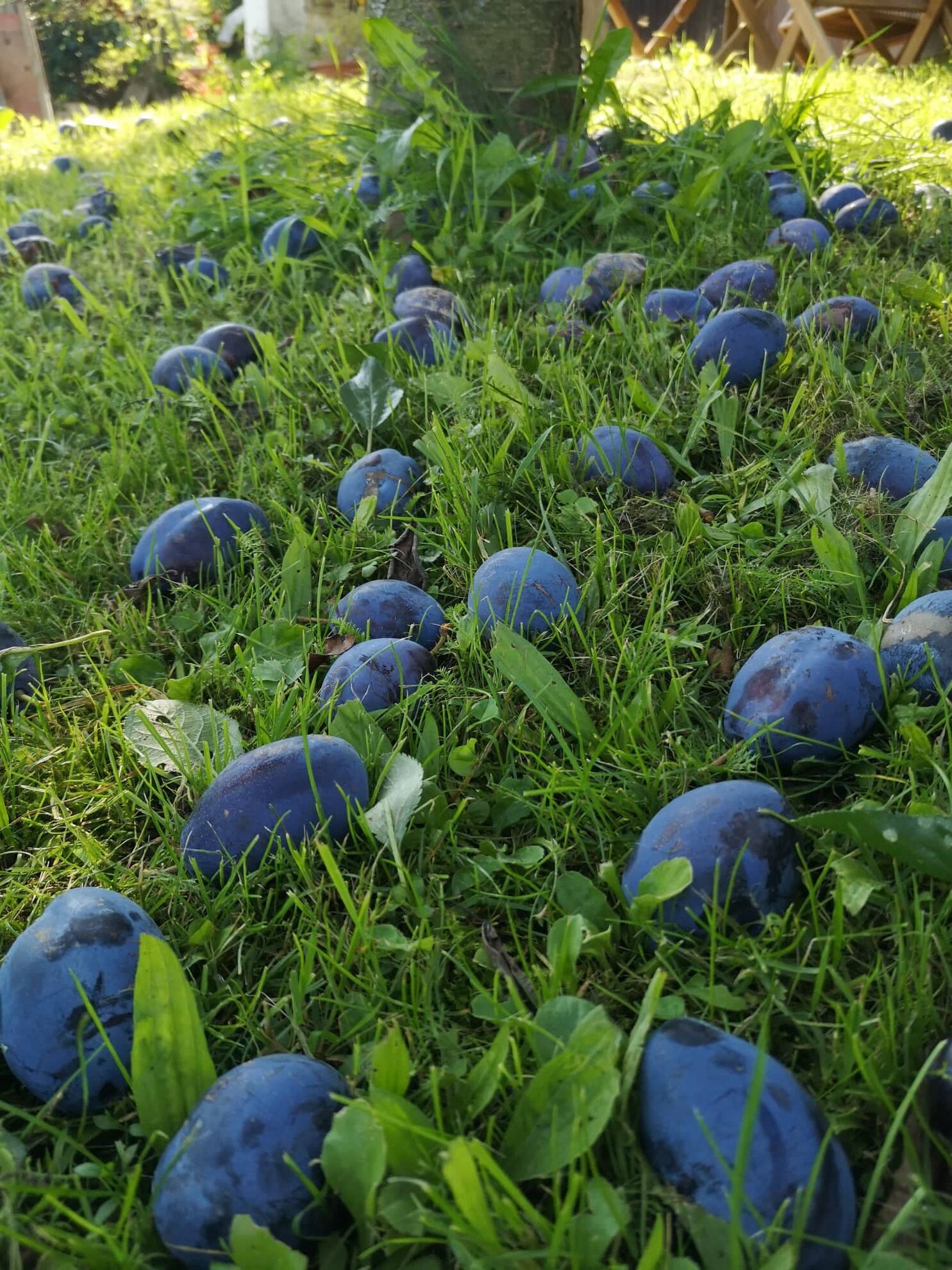 298885124_2627078817423921_5335466191269647857_n (4)