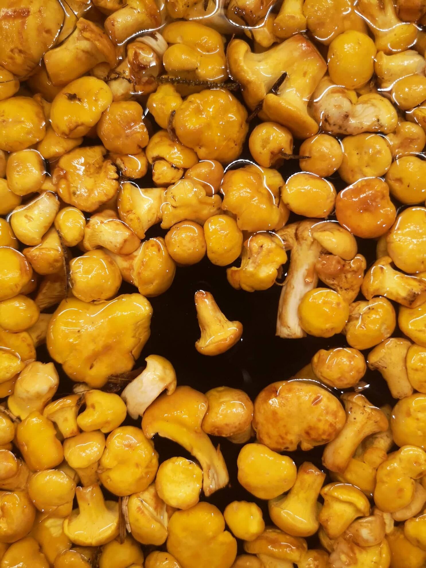 298885126_5453268074766347_4451648899225960752_n(1)