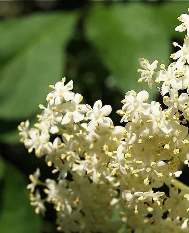 298915493_617815189678435_7442507531085079219_n