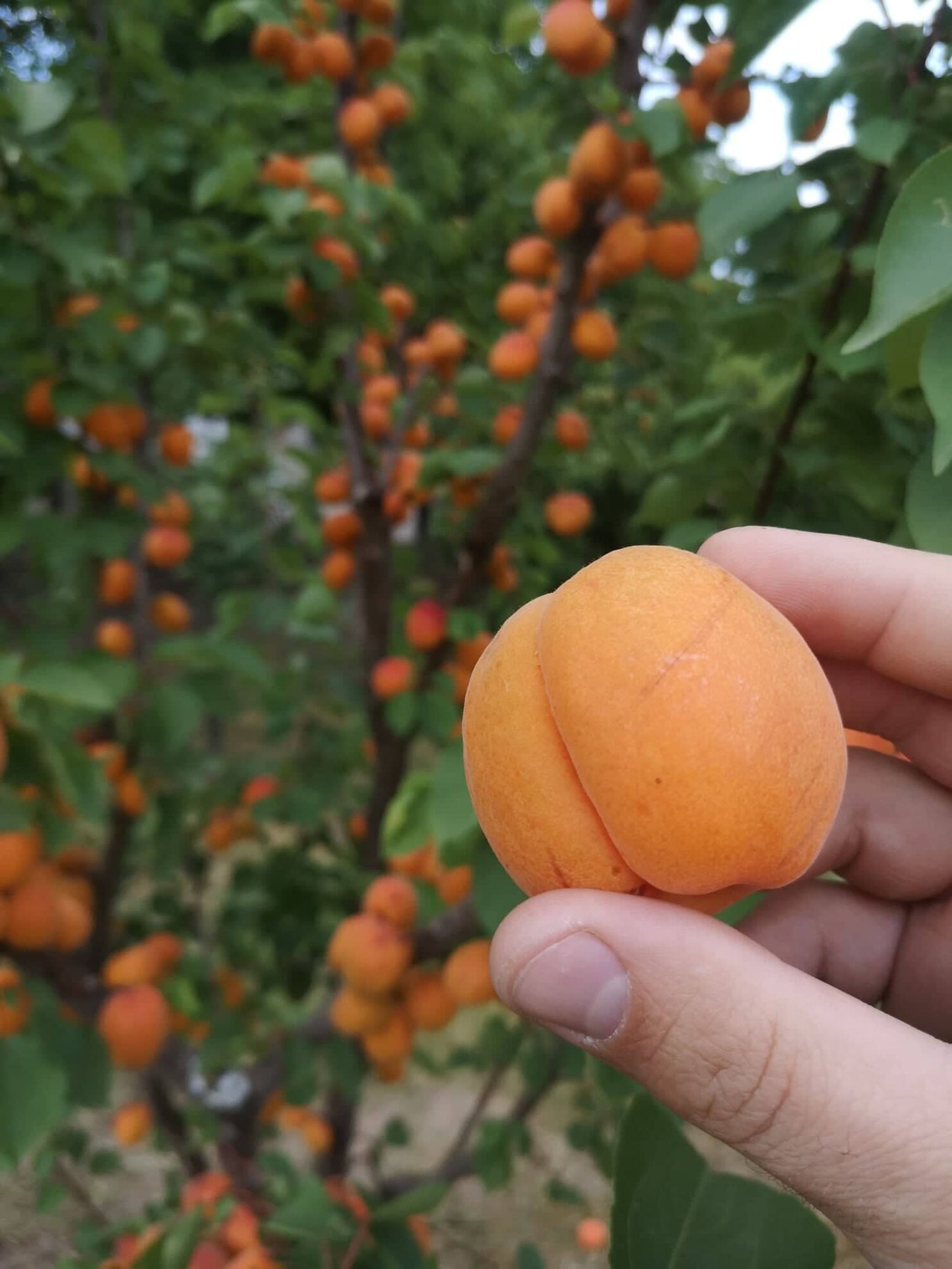 298920162_2045102492342424_2532600126628839264_n