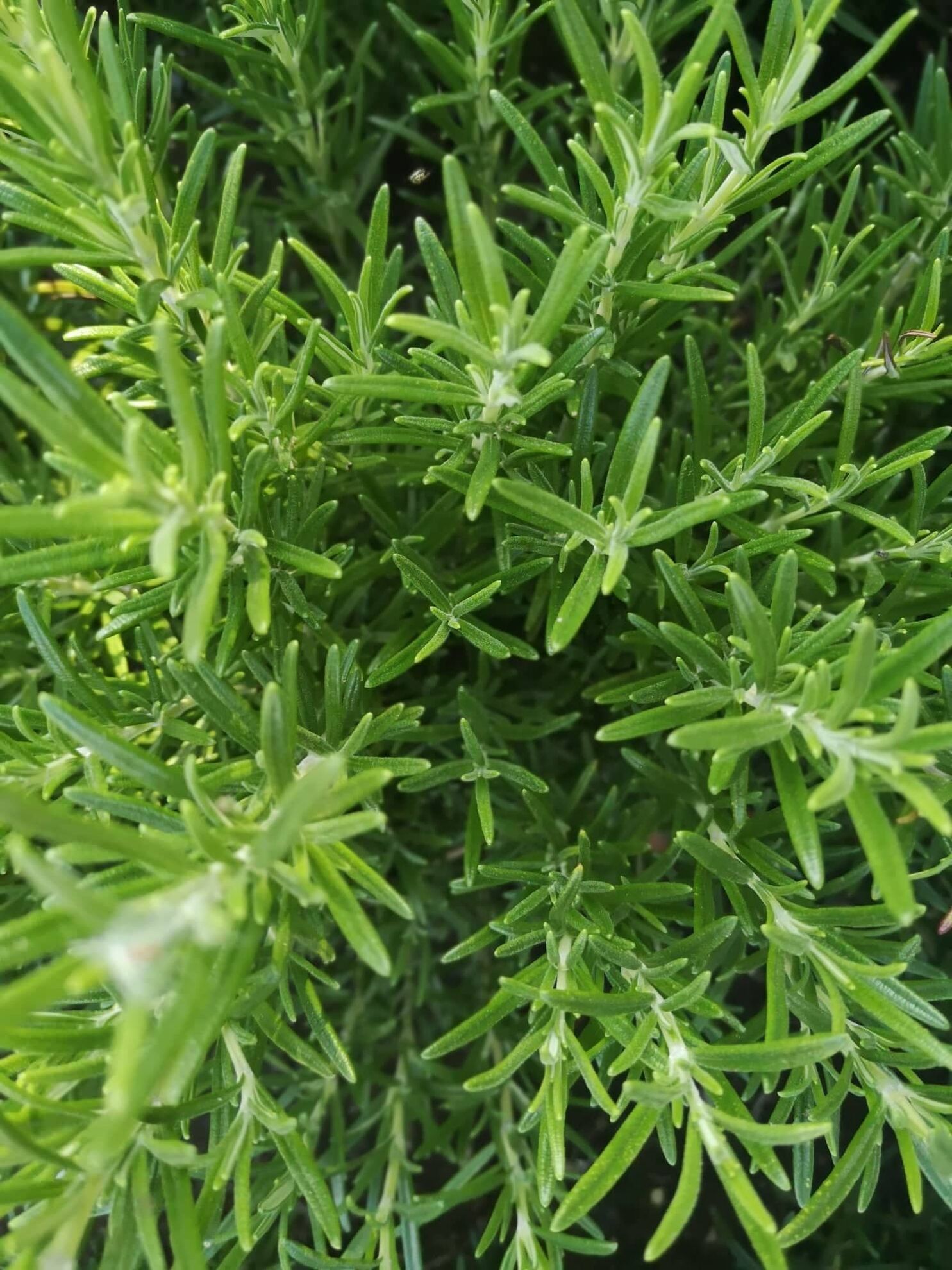 298956082_458948572554285_5687186538703127346_n (1)