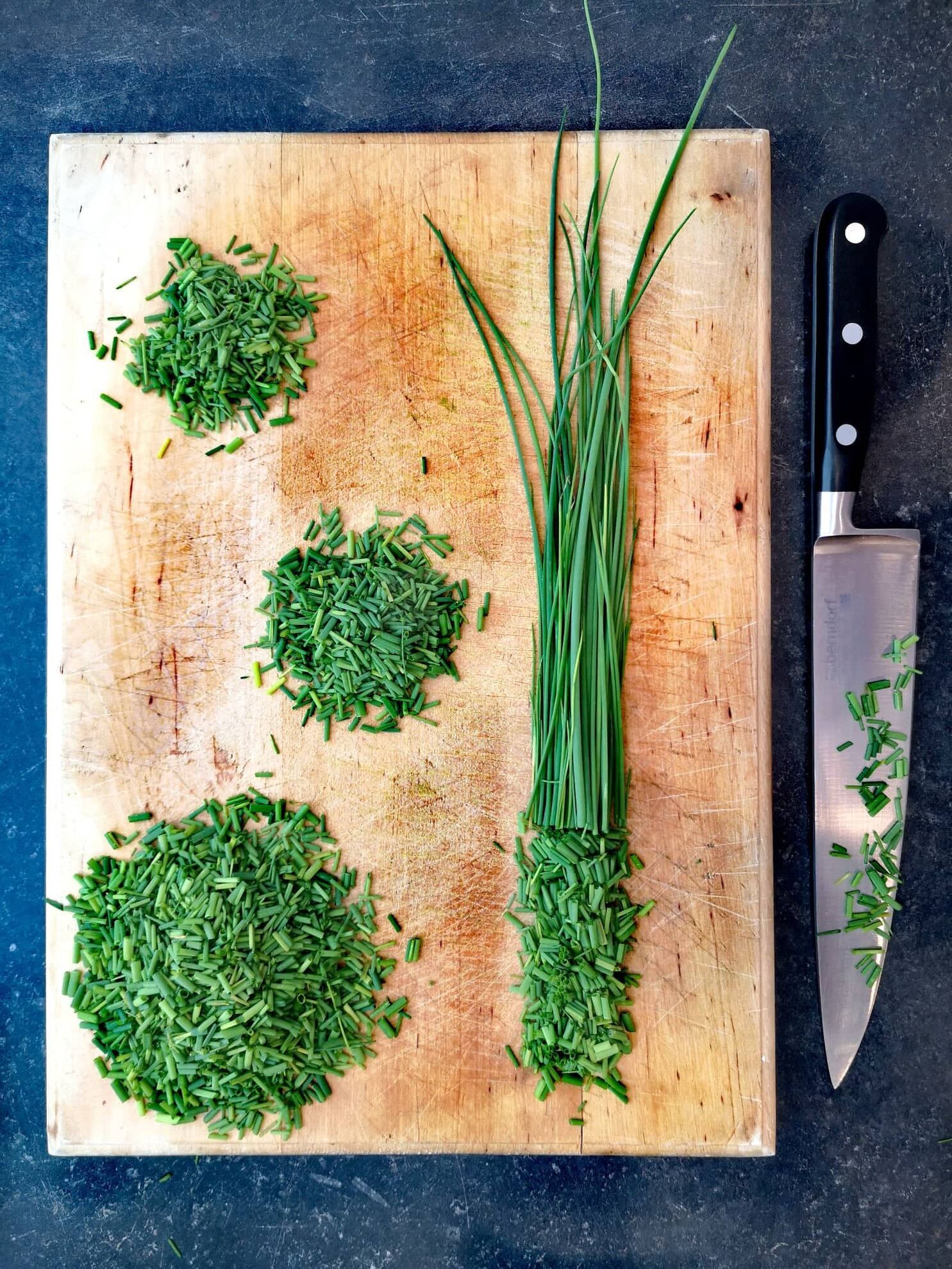 299055731_441157284704962_7186267674334649124_n