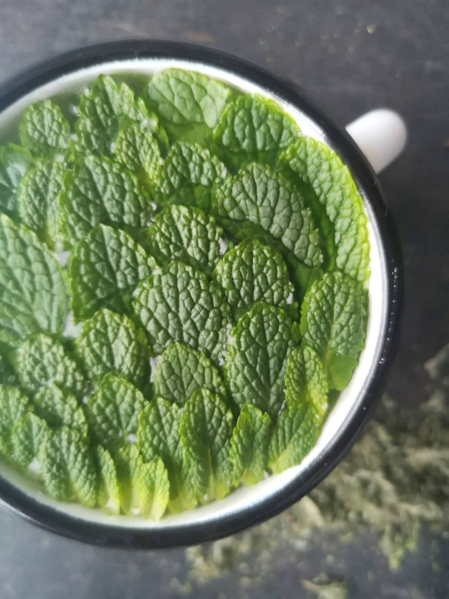 299090026_585255899731274_8257233834071609255_n (1)