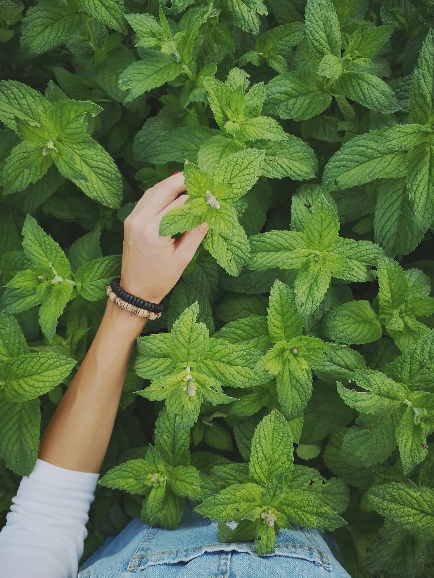 299090576_3401763753443882_8858432653195790496_n (1)