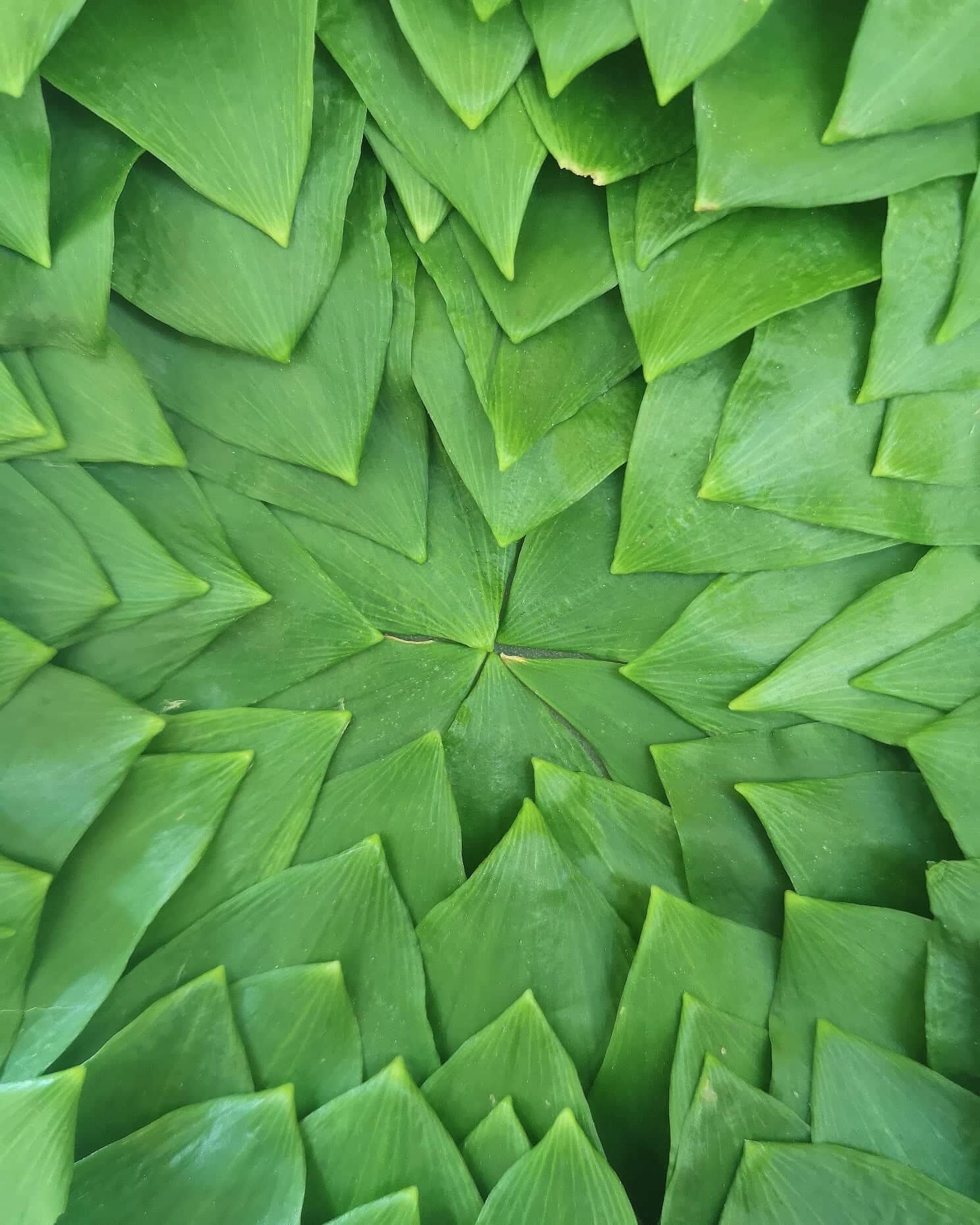 299107230_467535481641294_4590053531932849231_n