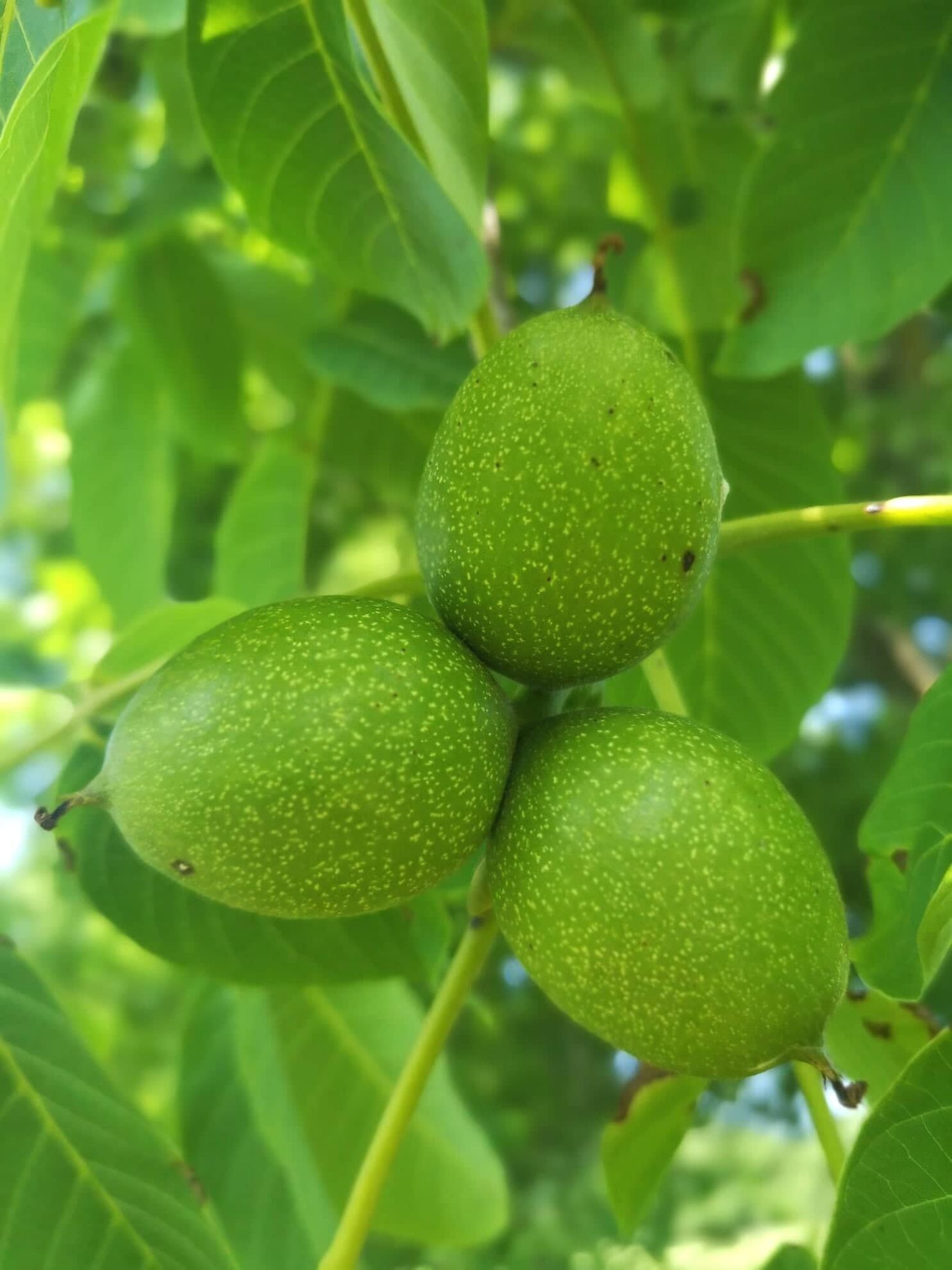 299110854_1086400815303378_2285162564247917815_n (2)