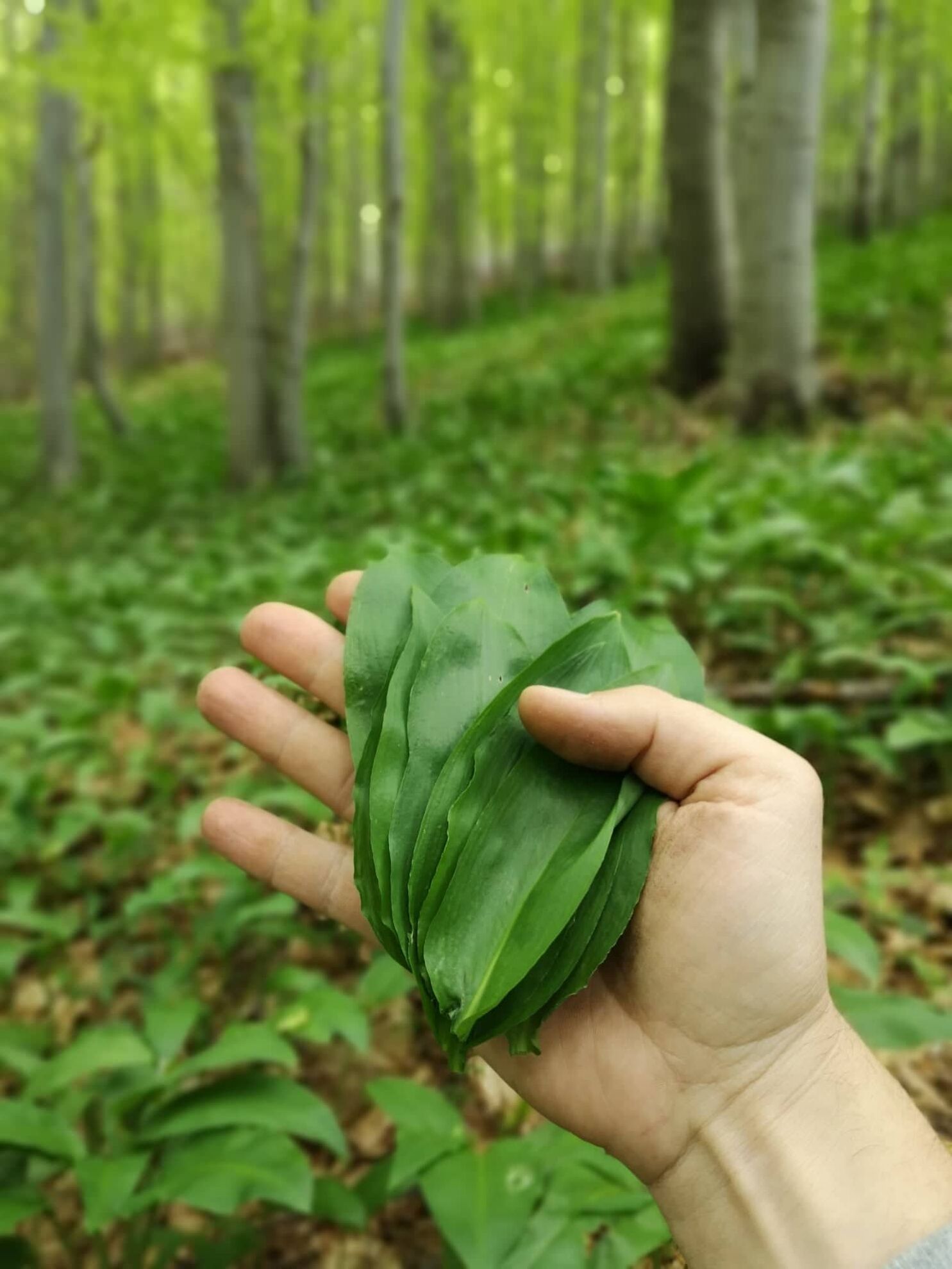 299208006_951592299118350_3417483223799692794_n