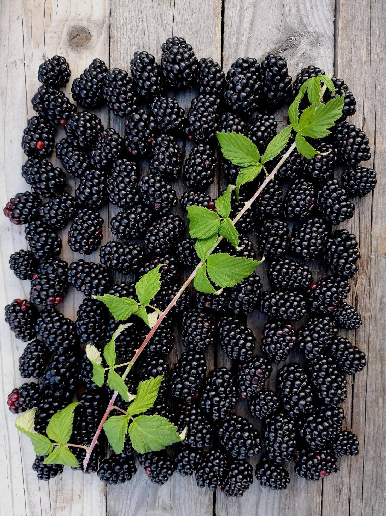 299220523_5280813658680340_138361784687626845_n