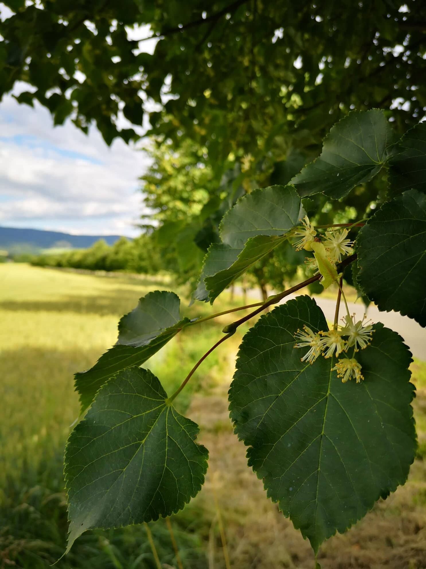 299510669_760876741798319_8336084244723902946_n 299510669_760876741798319_8336084244723902946_n