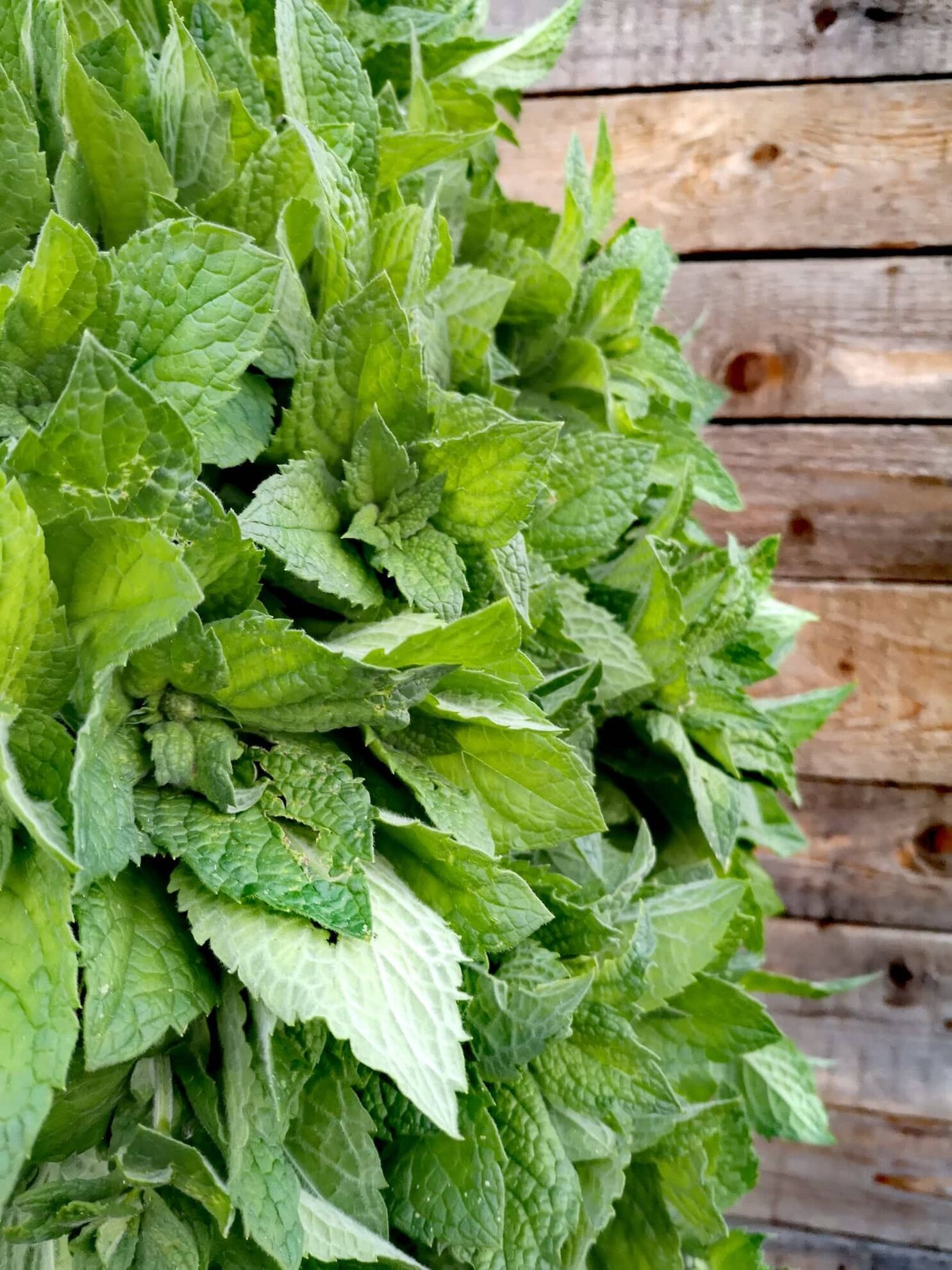 299608432_654290095748514_6877681888653815743_n