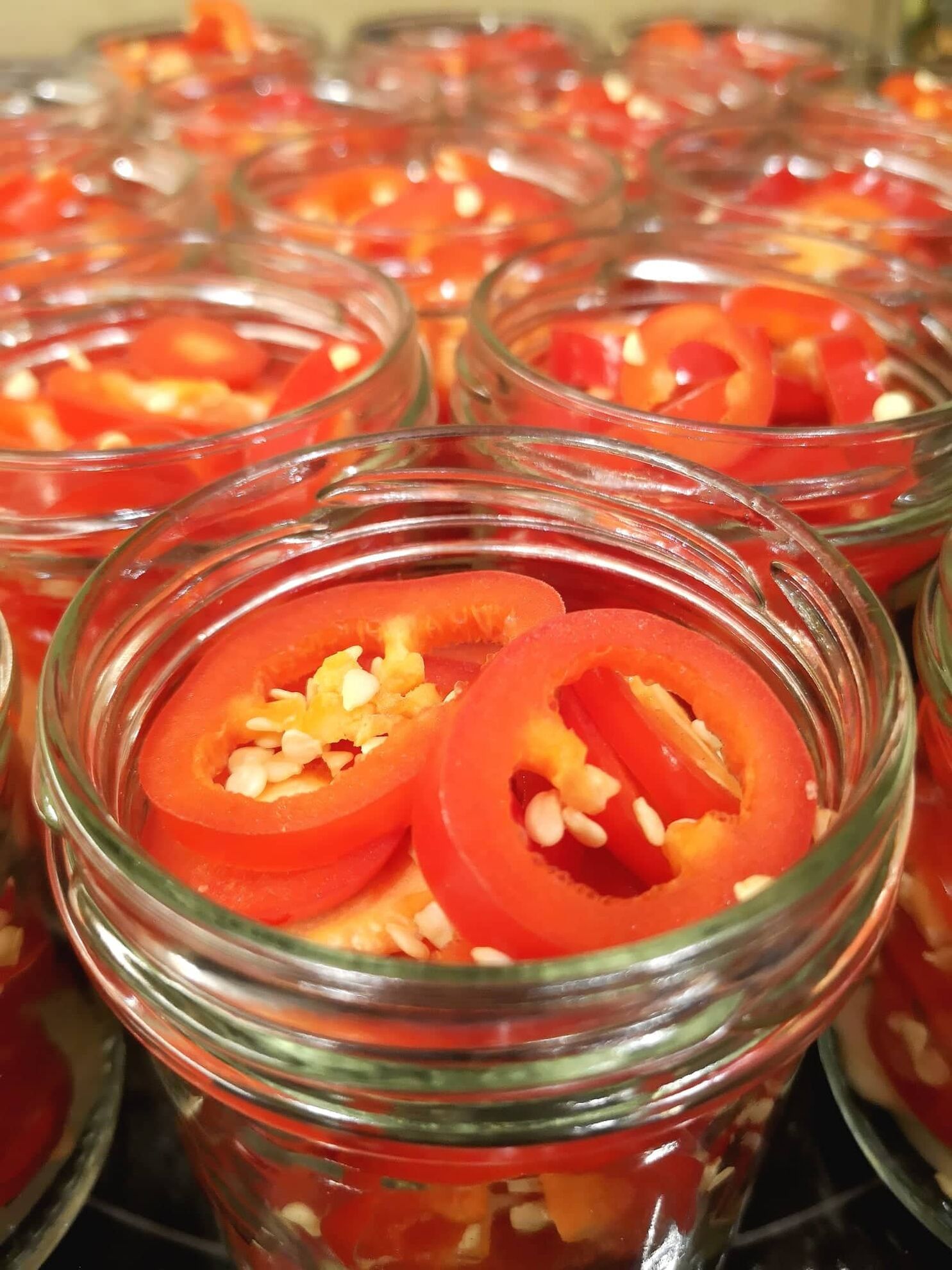 300078772_496267582330886_4108430822923759123_n