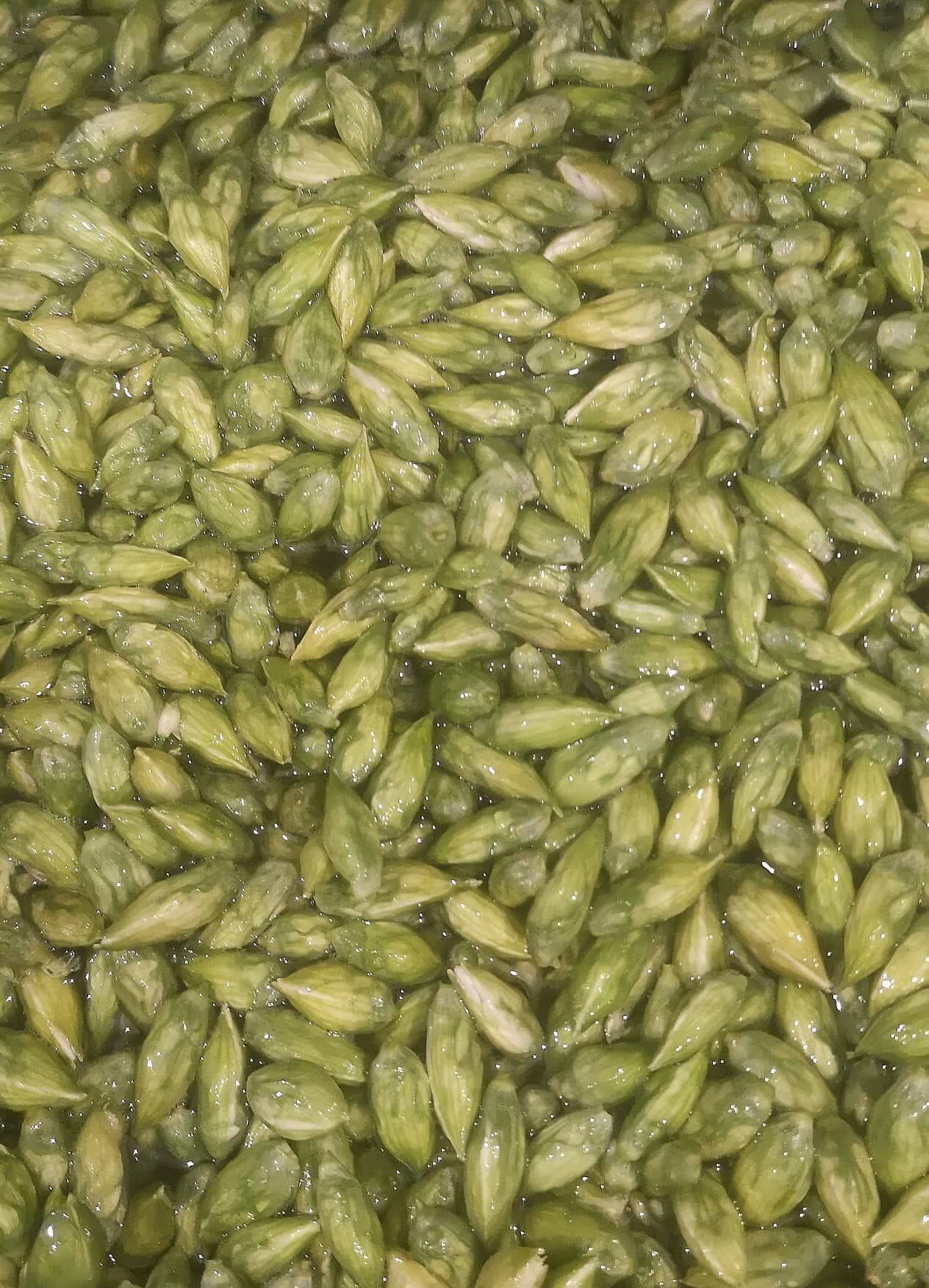 300100269_802460910772042_5917585569911086590_n