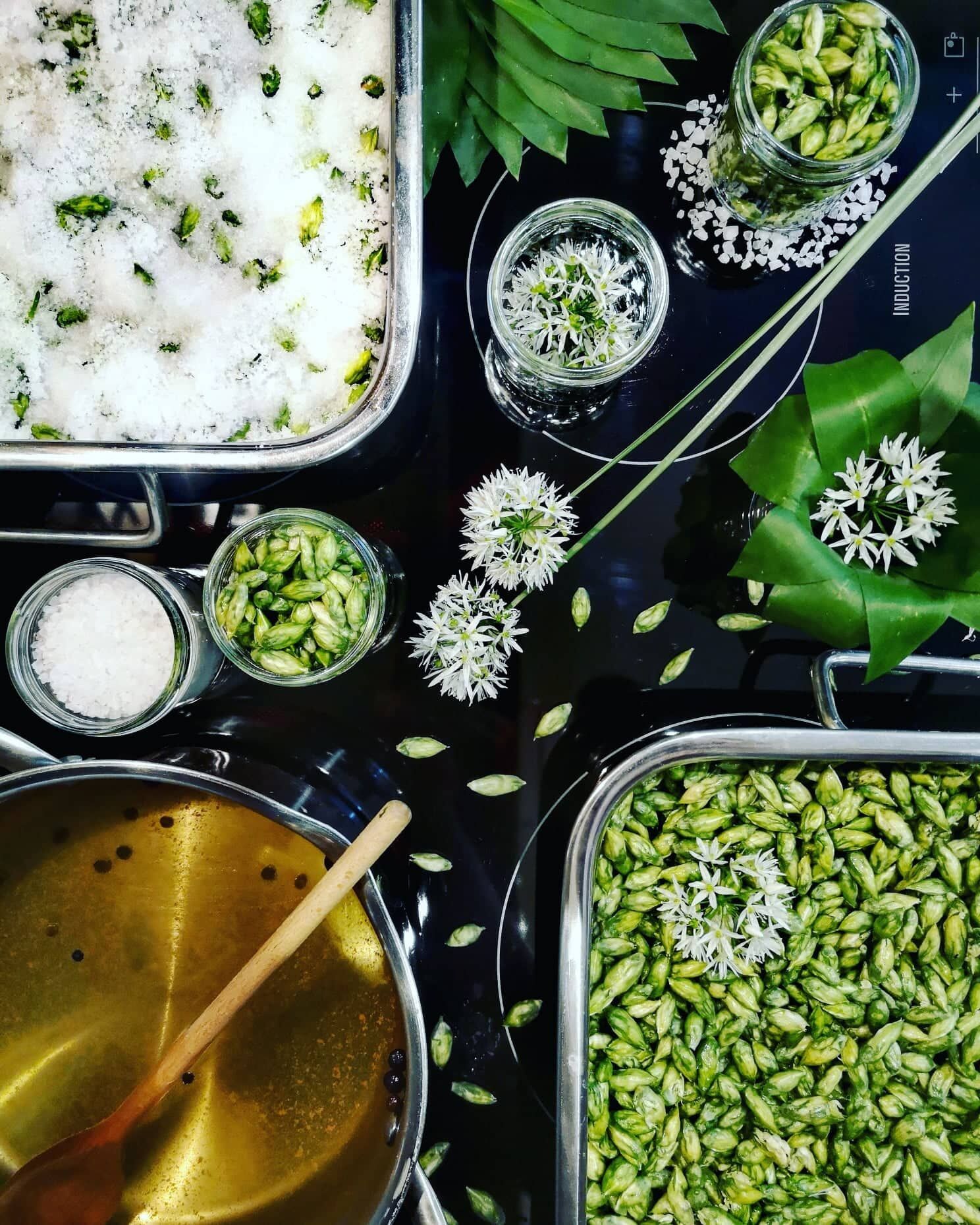 300102818_438919141525637_9048594987715131413_n