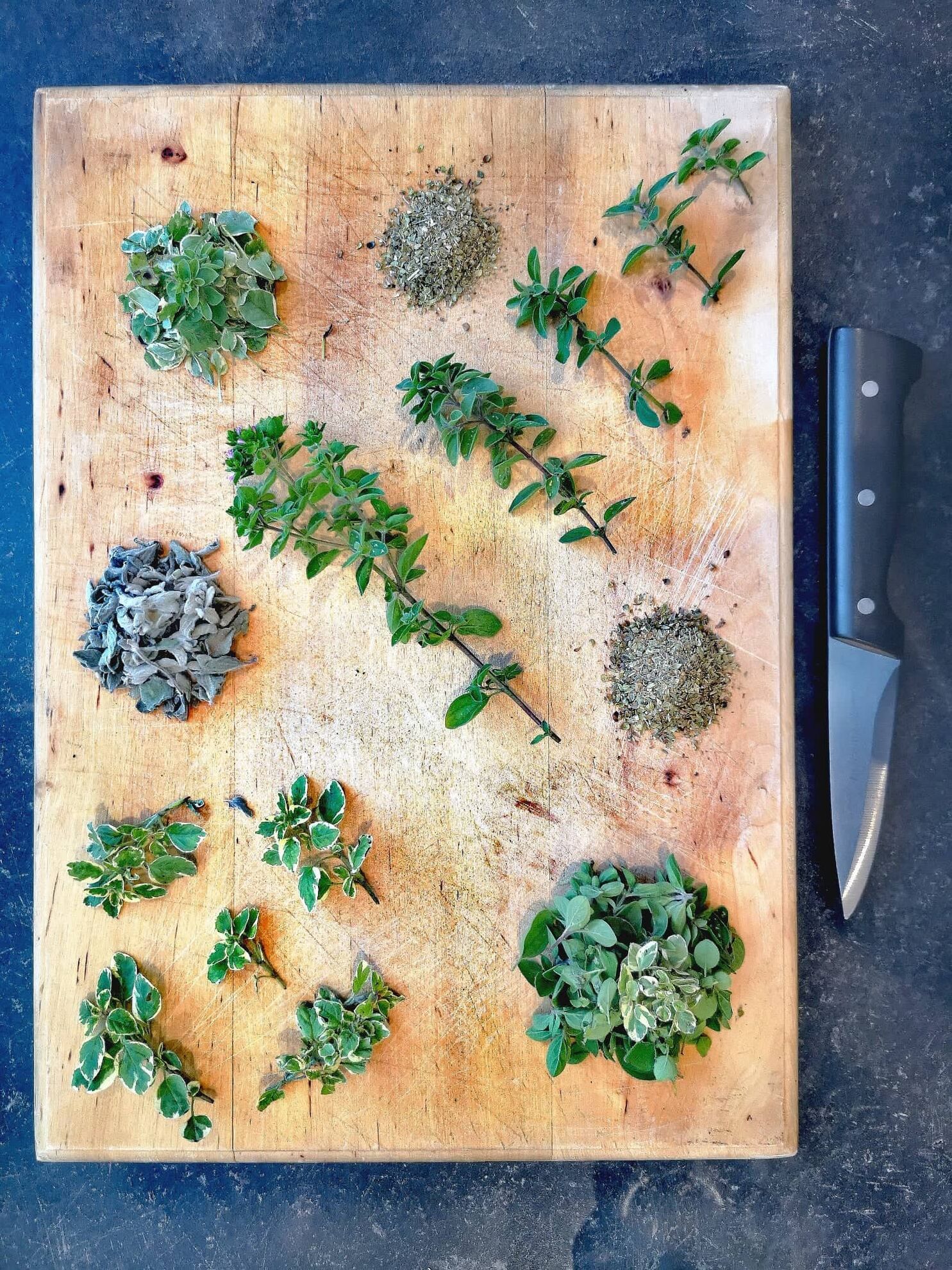 304971003_504997854788318_4411303584739370303_n