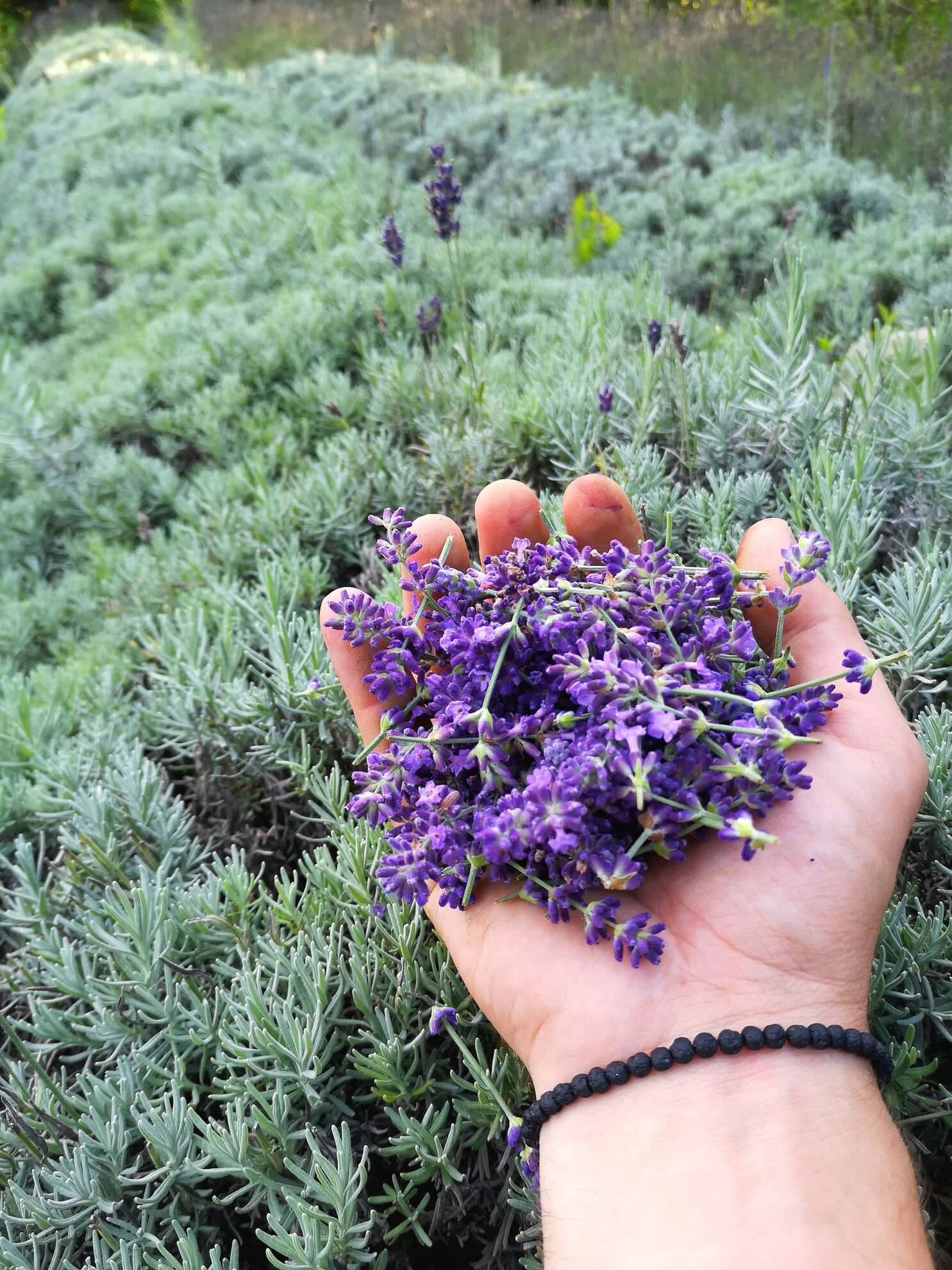 305263858_424593262997392_2486292386647191802_n (1)