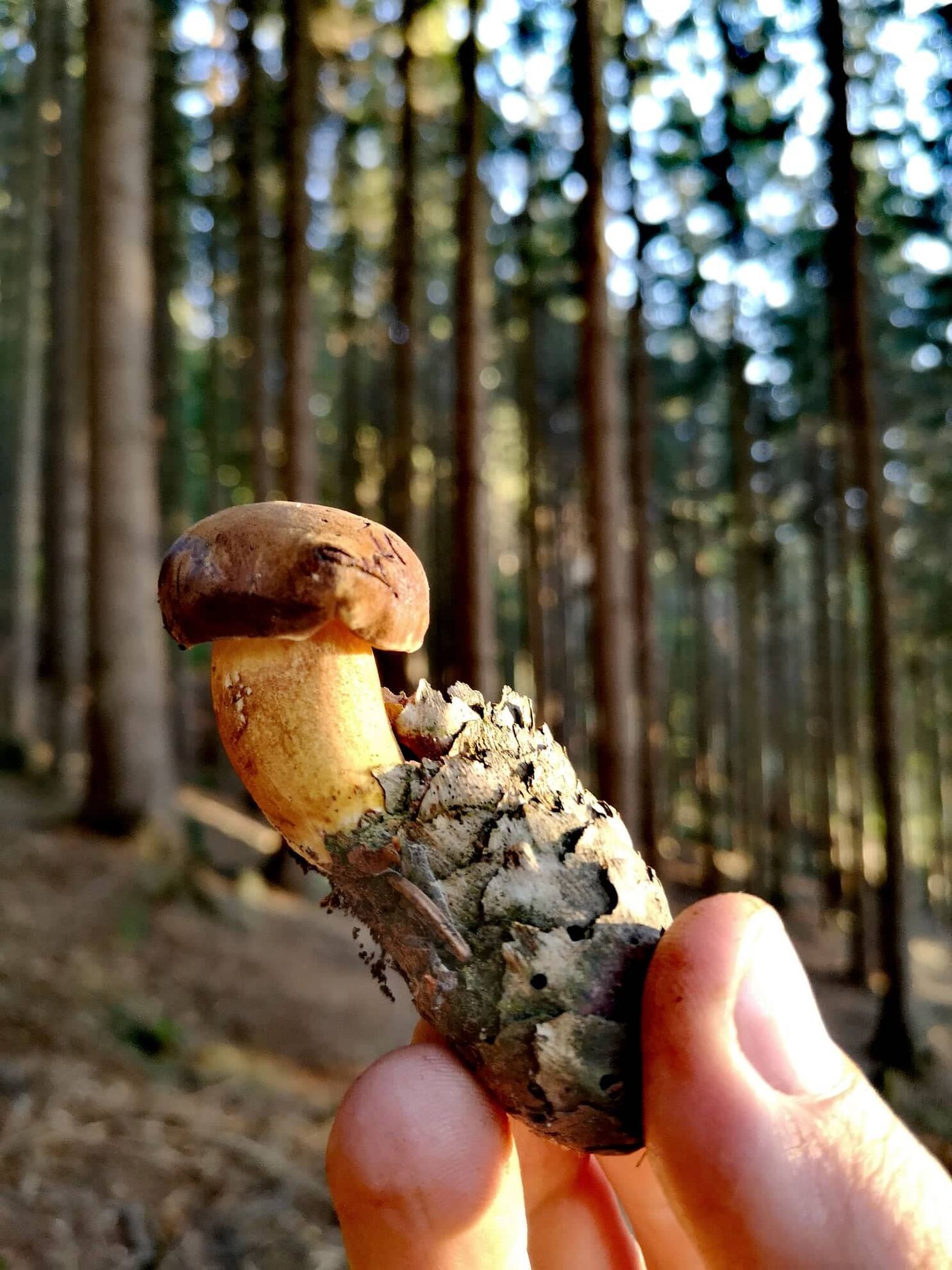 313371586_892209955518975_4697162525677589115_n