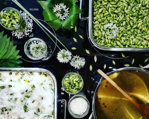 Nakládané speciality